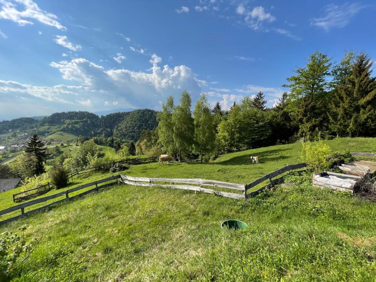 Mountain View * Kamnik
